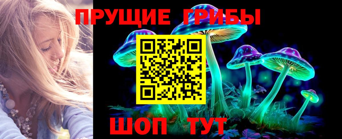 Псилоцибиновые грибы прущие грибы Валуйки