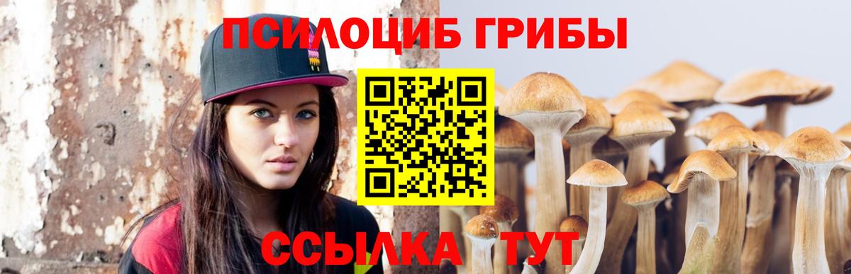 Псилоцибиновые грибы Cubensis  Галлюциногенные грибы ЛСД  Валуйки  Вход с VPN 